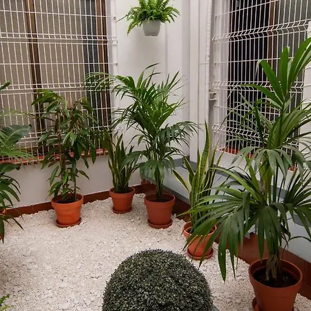 Hostel Kabul Party Barcelona