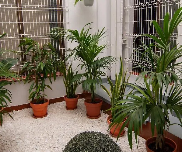 Hostel Kabul Party Barselona